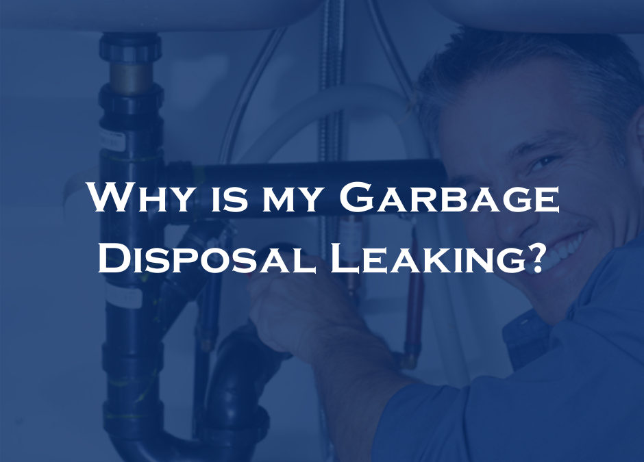 Why is my Garbage Disposal Leaking?