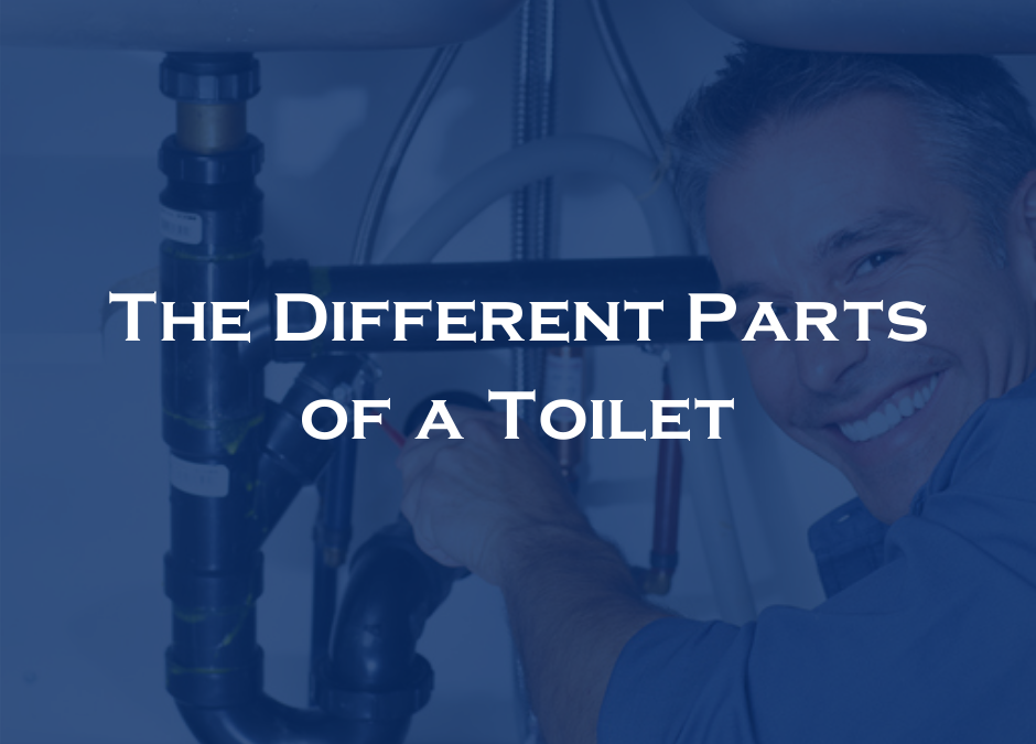 The Different Parts of a Toilet