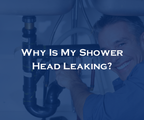 Why Is My Shower Head Leaking? | Five Star Plumbing