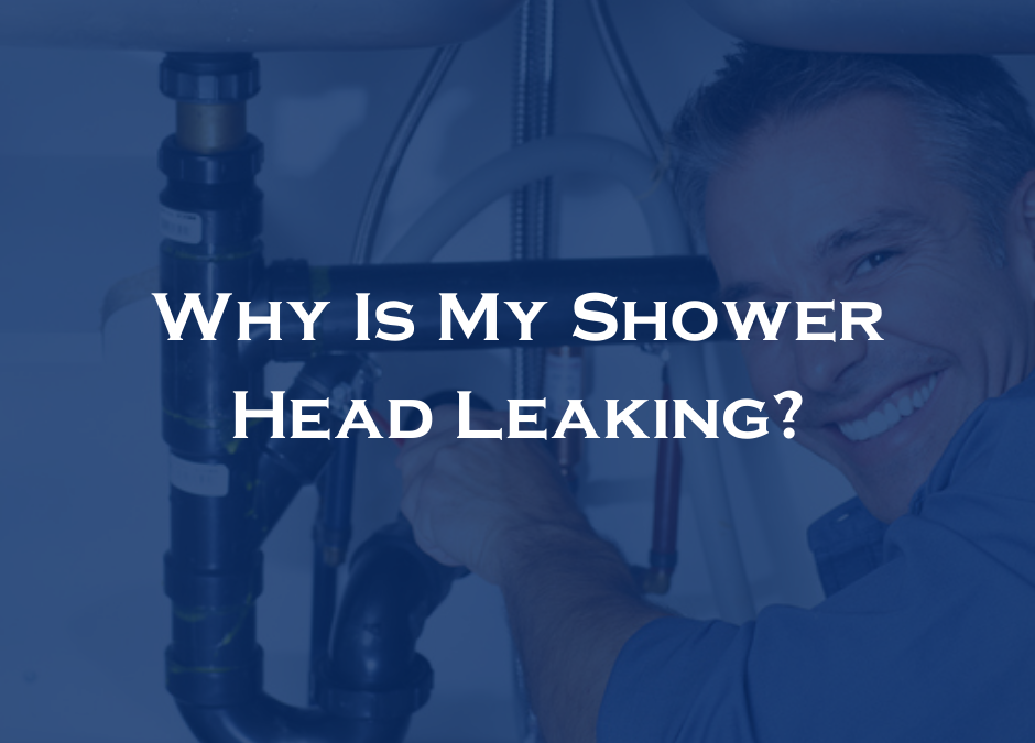 Why Is My Shower Head Leaking?