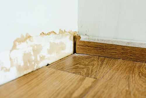 How to Prevent Mold After Water Damage