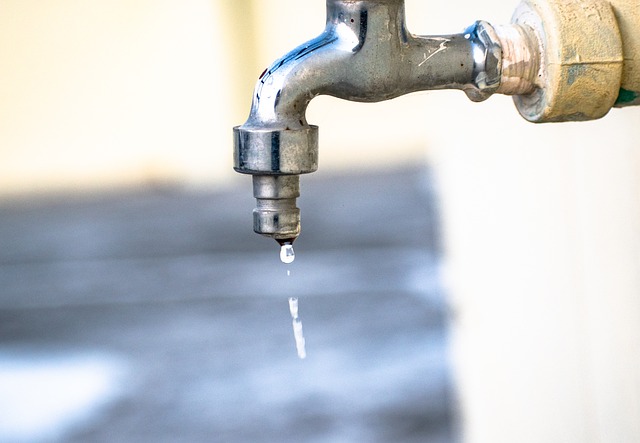 Reasons To Call A Harford County Plumber To Fix A Water Leak Repair